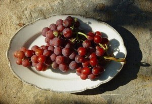 grape-fruits-increase-sex-endurance-640x437