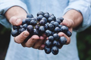 foods-that-help-with-anxiety-grapes-farm