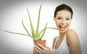 aloe-vera-and-coconut-oil