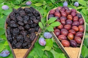 plums-and-prunes