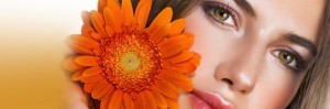 banner3