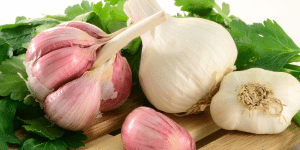 garlic