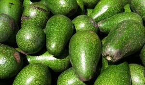 Avocados