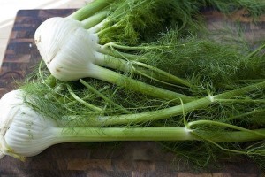Braised-Fennel_8