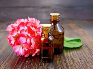 Two bottle of oil with green leaf and flower of pink geranium on a wooden boards background