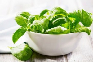 7-basil-iStockphoto_thinkstock