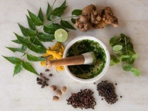 ayurveda-herbs