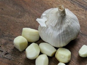 garlic