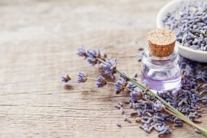 Lavender-Essential-Oil-Headache-Relief-AAHC-Photo