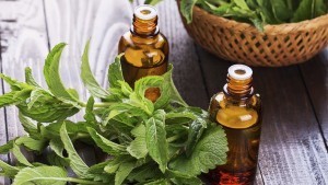 Essential aroma oil with peppermint on wooden background. Selective focus, vertical.