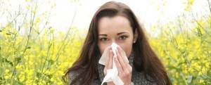 woman-sneezing-hayfever