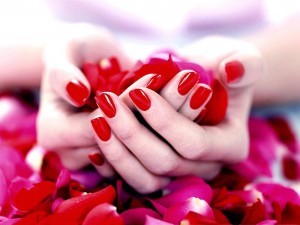 z-wallpaper-hands-and-rose-petals