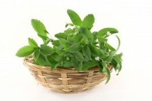 14289886-a-basket-with-stevia-on-a-white-background