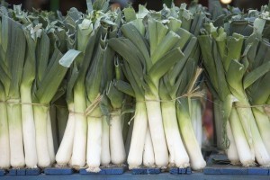 leeks14-576f0d553df78cb62c823177