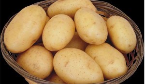 potatoes