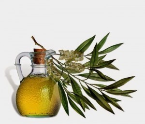 tea-tree-oil