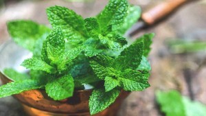 1296x728_natural_remedies_for_sore_throats-peppermint