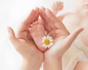 Baby foot цшер camomile in mommy's hands, shallow DOF.