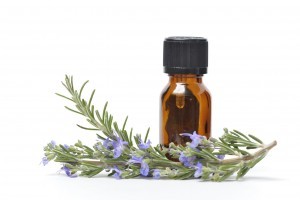 A small bottle of essential oil with sprigs of fresh Rosemary, one with flowers.