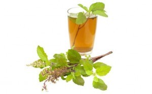 honey-and-basil-leaf