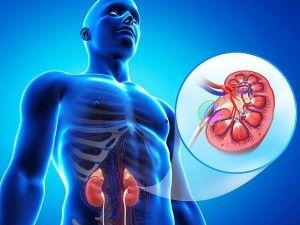 kidney-diseases