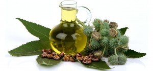 castor-oil-for-hair-growth