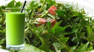 dandelion-juice-salad