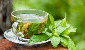 green-tea_650x379_51430317406