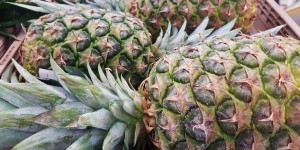 pineapples-1353212_1920