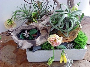 succulent-plants-with-pots-of-original-flowers-as-decoration-in-the-house-2-121