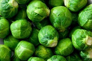 brussel-sprouts