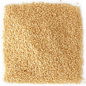 amaranth