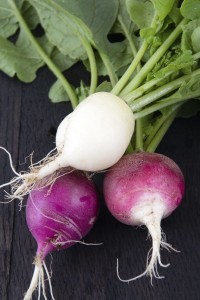 radish-variety