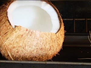 dried-coconut-flickr-vegan-feast-catering
