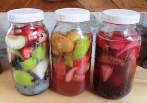 Fermente meyve suları